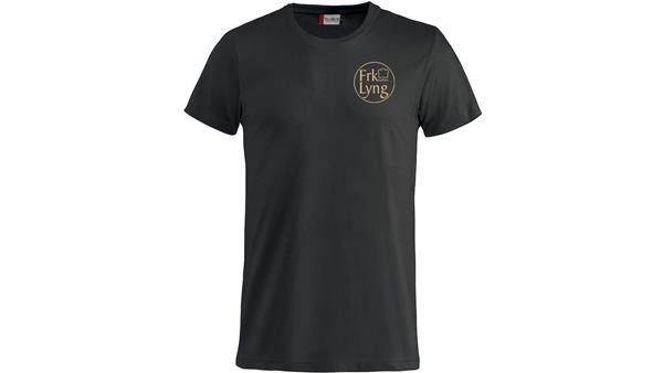 NW basic-t (Frk Lyng)