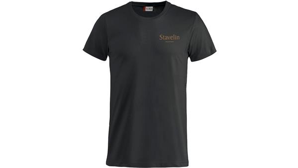 NW basic-t (Stavelin)